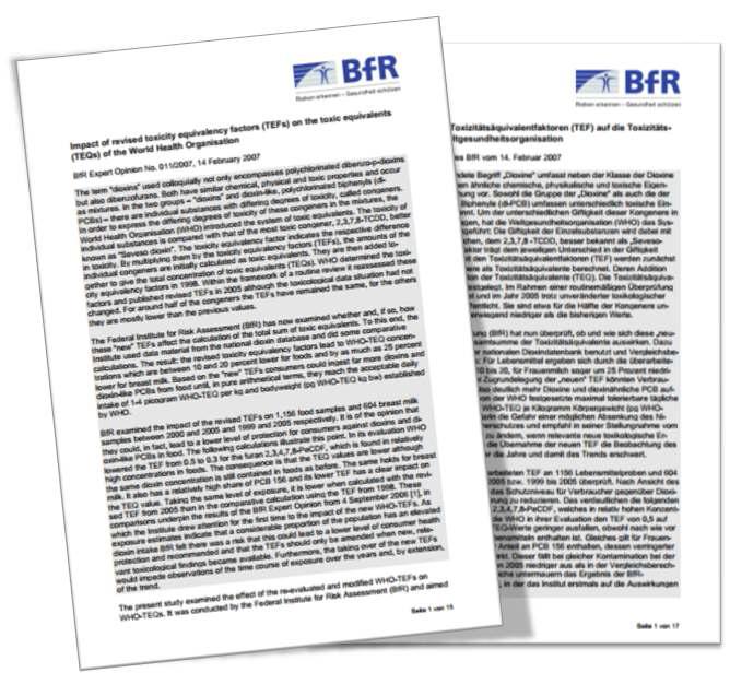 독일 위험 평가 연구소 (BfR) 의견서 내용