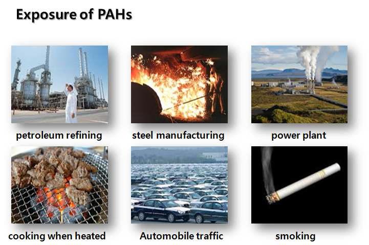 PA Hs의 주요 노출원