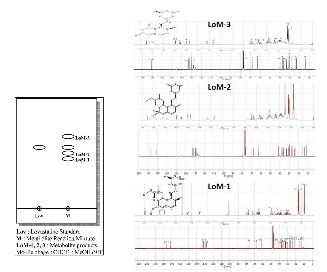 TLC and NMR chromatograms for metabolites of lovastatin by human stool