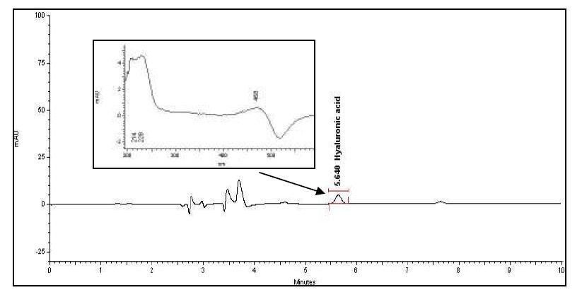 HPLC chromatogram of hyaluronic acid in standard
