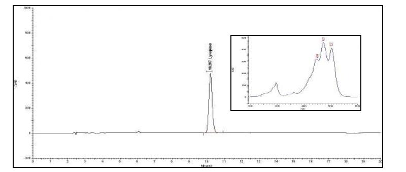 HPLC chromatogram of all-trans-lycopene in standard