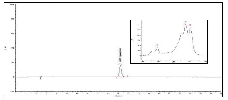 HPLC chromatogram of all-trans-lycopene in sample