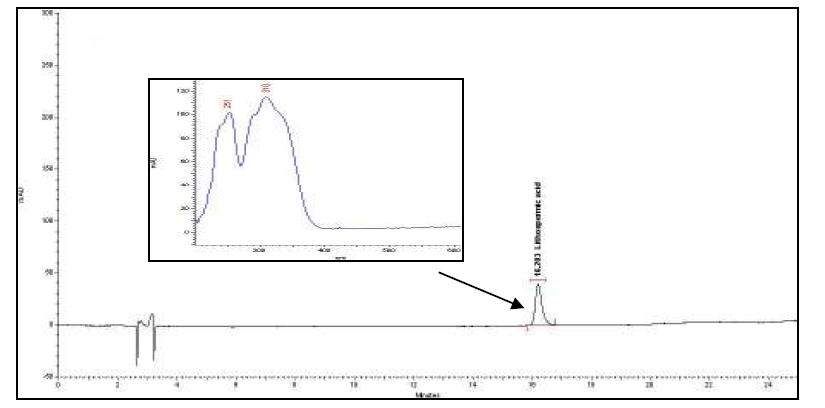 HPLC chromatogram of lithospermic acid in standard