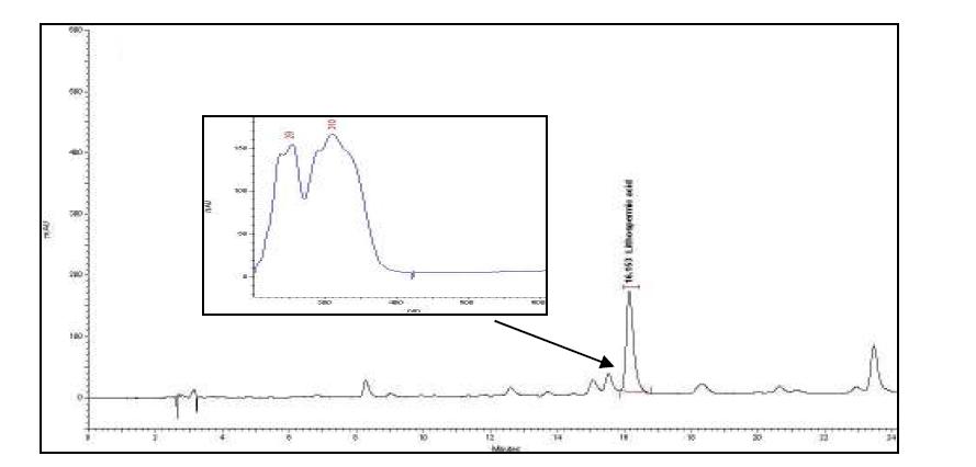 HPLC chromatogram of lithospermic acid in sample