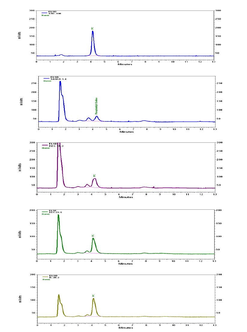 Chromatogram of phosphatidylcholine and fortified samples