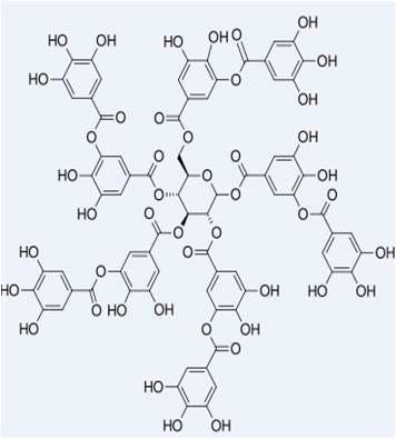 Tannic acid의 구조