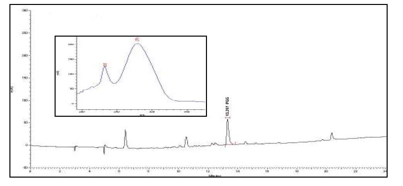 HPLC chromatogram of PGG in sample