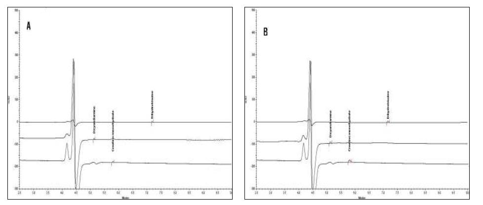 HPLC chromatogram of creatine, dicyandiamide and dihydrotriazine LOD (A) and LOQ (B)