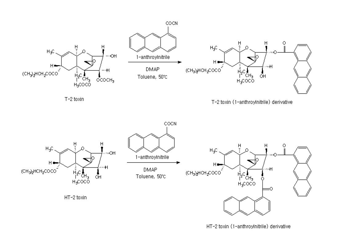 Scheme of the derivatization reaction of T-2 and HT-2 toxins with 1-anthronylnitrile in the presence of dimethlyaminopyridine.