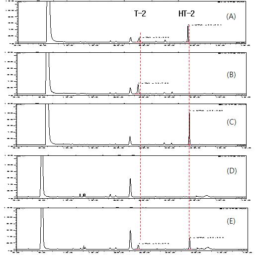 Chromatograph of T-2 and HT-2 toxins standard (100 ug/kg); A, T-2 toxin standard (200 ug/kg); B, HT-2 toxin standard (200 ug/kg); C, Cereal Control(백미); D, and spiked cereal sample(Milled rice) (100 ug/kg); E