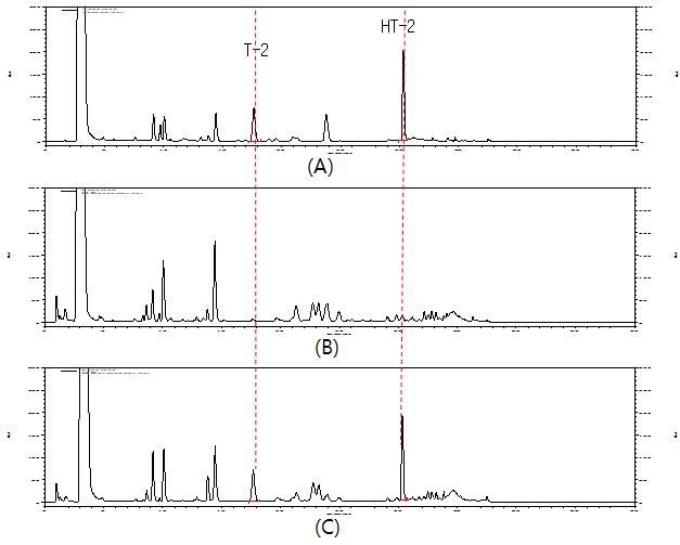 Chromatograph of T-2 and HT-2 toxins standard (100 ug/kg); A, control(Barley); B, and spiked cereal sample (100 ug/kg); C