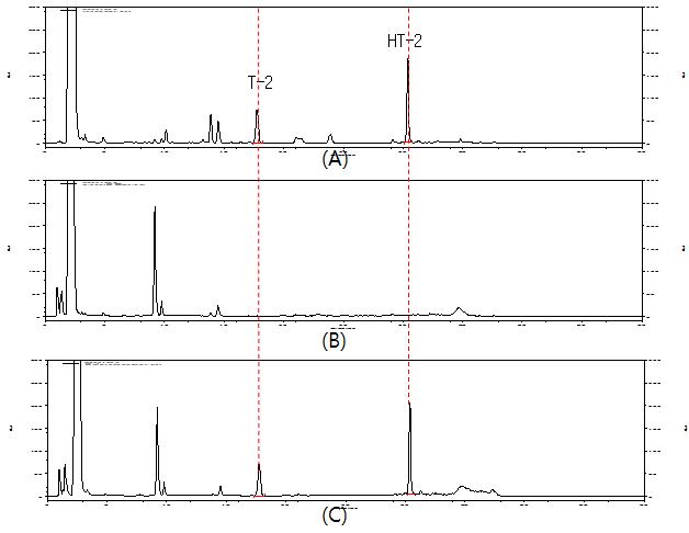 Chromatograph of T-2 and HT-2 toxins standard (100 ug/kg); A, control(Milled rice); B, and spiked cereal sample (100 ug/kg); C