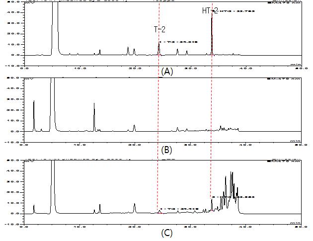 Chromatograph of T-2 and HT-2 toxins standard (100 ug/kg); A, control(Sorghum); B, and spiked cereal sample (100 ug/kg); C