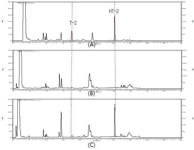 Chromatograph of T-2 and HT-2 toxins standard (100 ug/kg); A, control(Indian corn maize); B, and spiked cereal sample (100 ug/kg); C