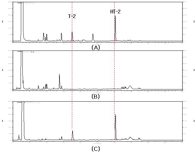 Chromatograph of T-2 and HT-2 toxins standard (100 ug/kg); A, control(Unpolished rice); B, and spiked cereal sample (100 ug/kg); C