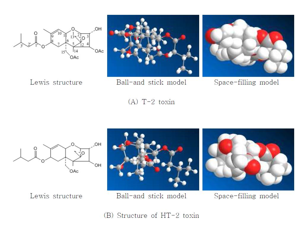 Structureof T-2 toxin and HT-2 toxin.