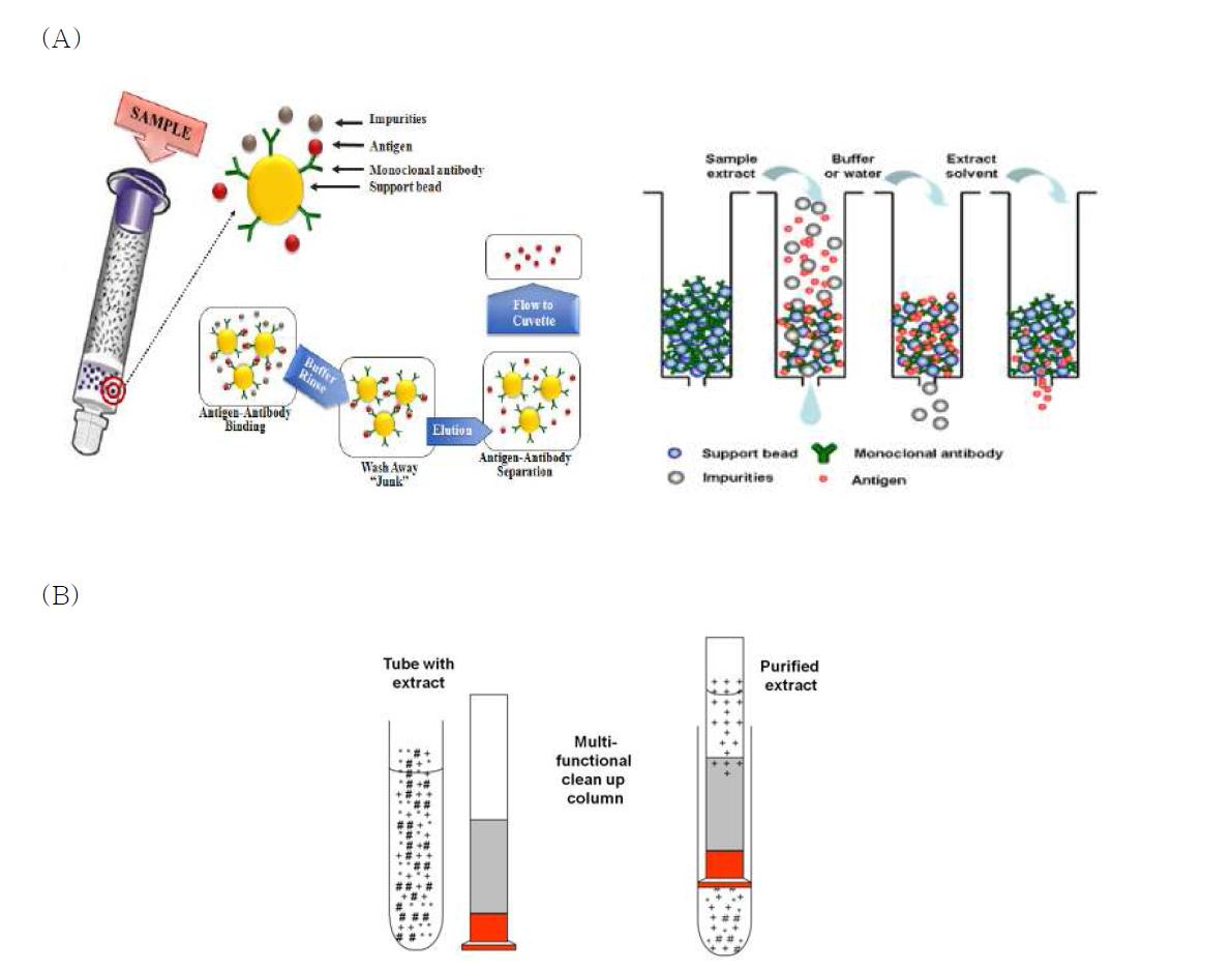 Principal of immunoaffinity column(A) and SPE column(B) for sample purification