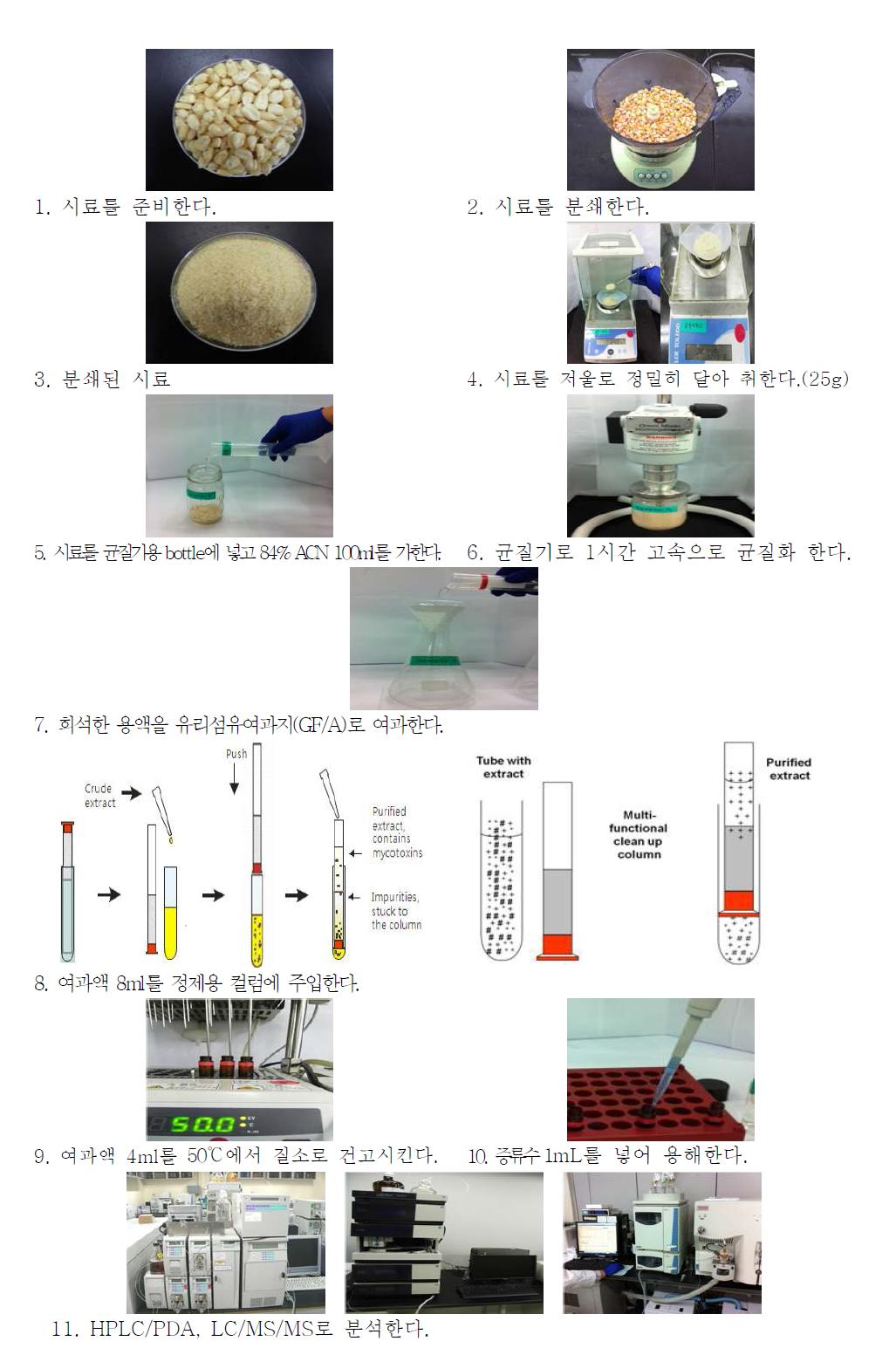 Sample preparation for analysis of type B trichothecenes in cereals.