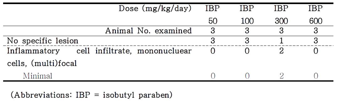 Histopathology of the female rat liver treated with IBP