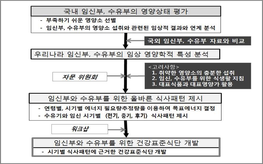 연구 추진 체계