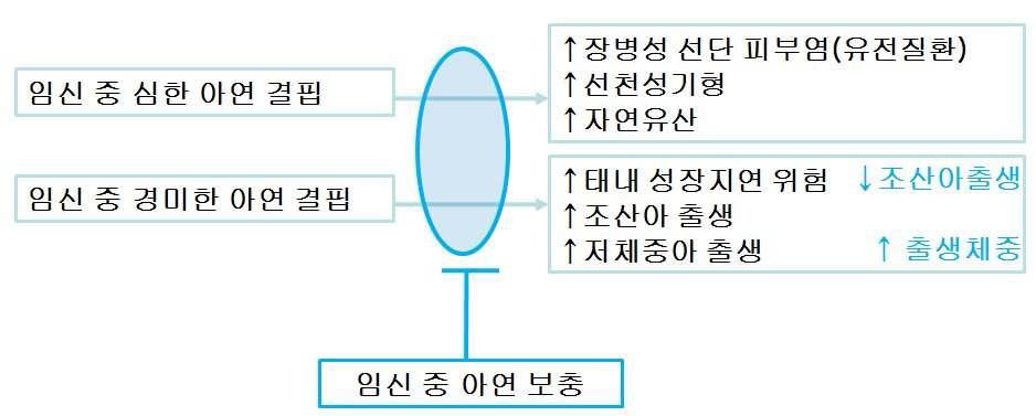 아연과 임신결과