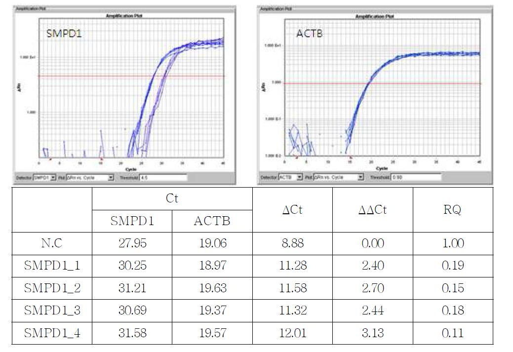 SMPD1에 대한 siRNA처리 후 qPCR 결과