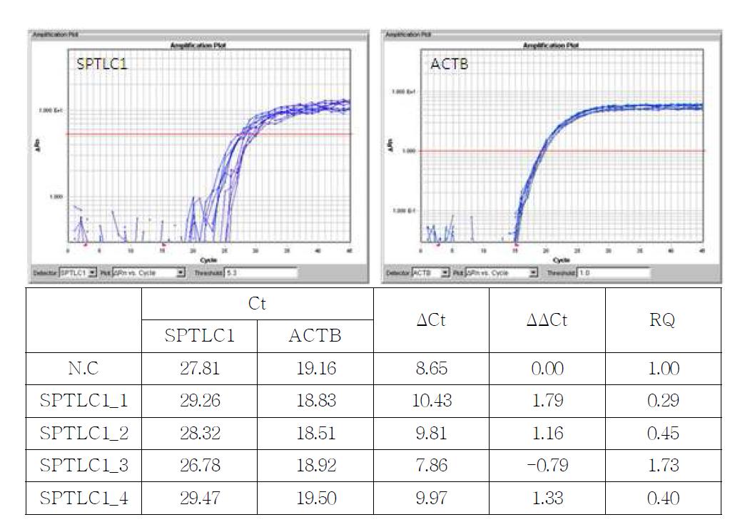 SPTLC1에 대한 siRNA처리 후 qPCR 결과