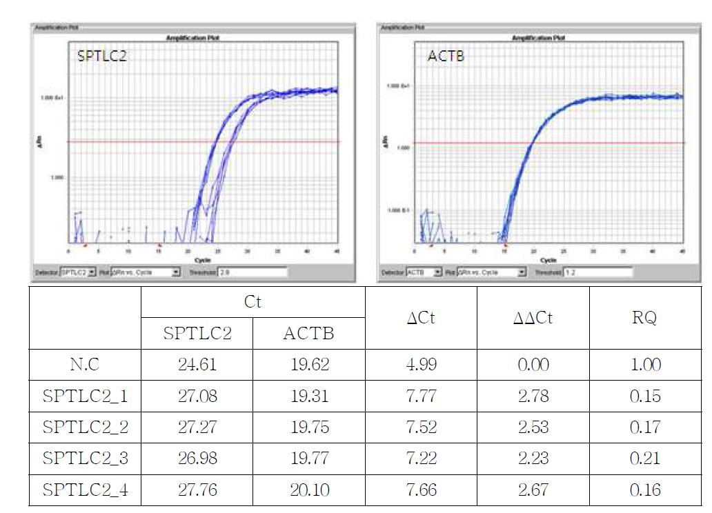 SPTLC2에 대한 siRNA처리 후 qPCR 결과