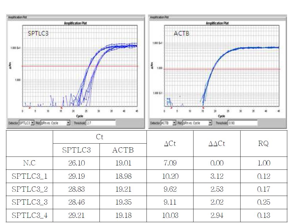 SPTLC3에 대한 siRNA처리 후 qPCR 결과