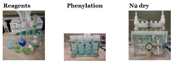 메틸수은 Phenylation 분석 과정