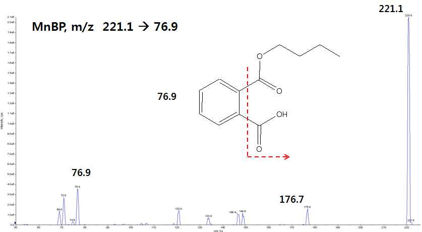 MnBP mass spectra