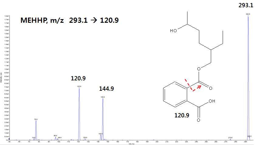 MEHHP mass spectra