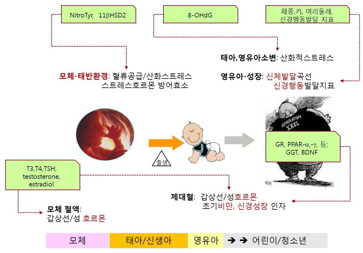 건강영향지표의 선정과 분석항목.