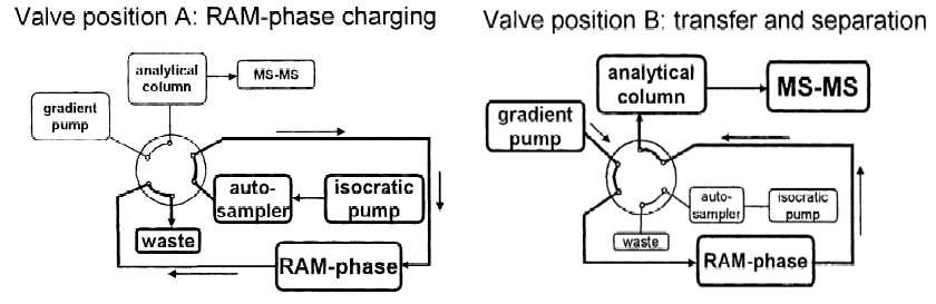 Switching valve를 이용한 시료 분석과정의 모식도.