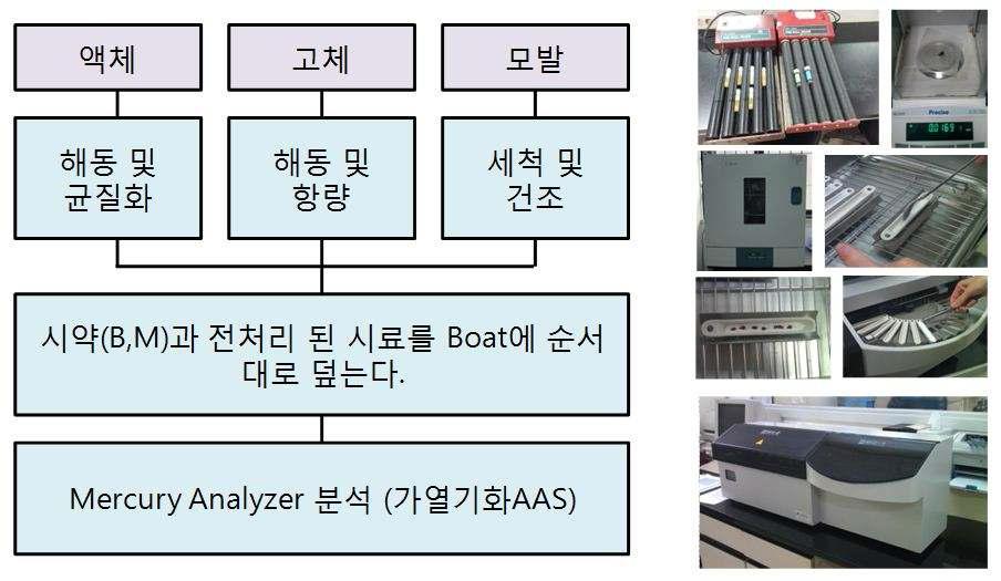 수은 분석 절차도.