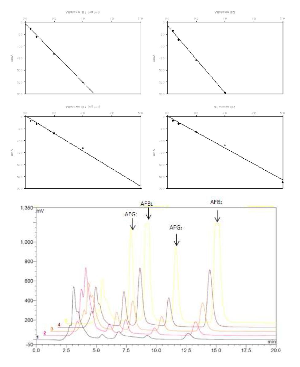 Standard curves of aflatoxin B1, B2, G1, and G2 and chromatograms.