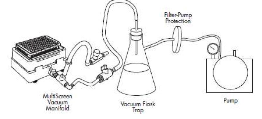 MultiScreen Vaccum Manifold