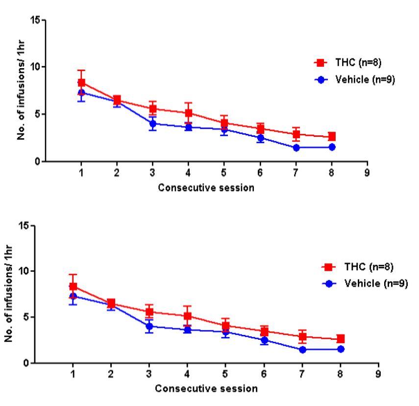 Acquisition of Δ9-THC(10ug/infusion) self administration in sprague-Dawley(SD) rats with nose-poking(upper panels) and drug-infusions(lower panels).