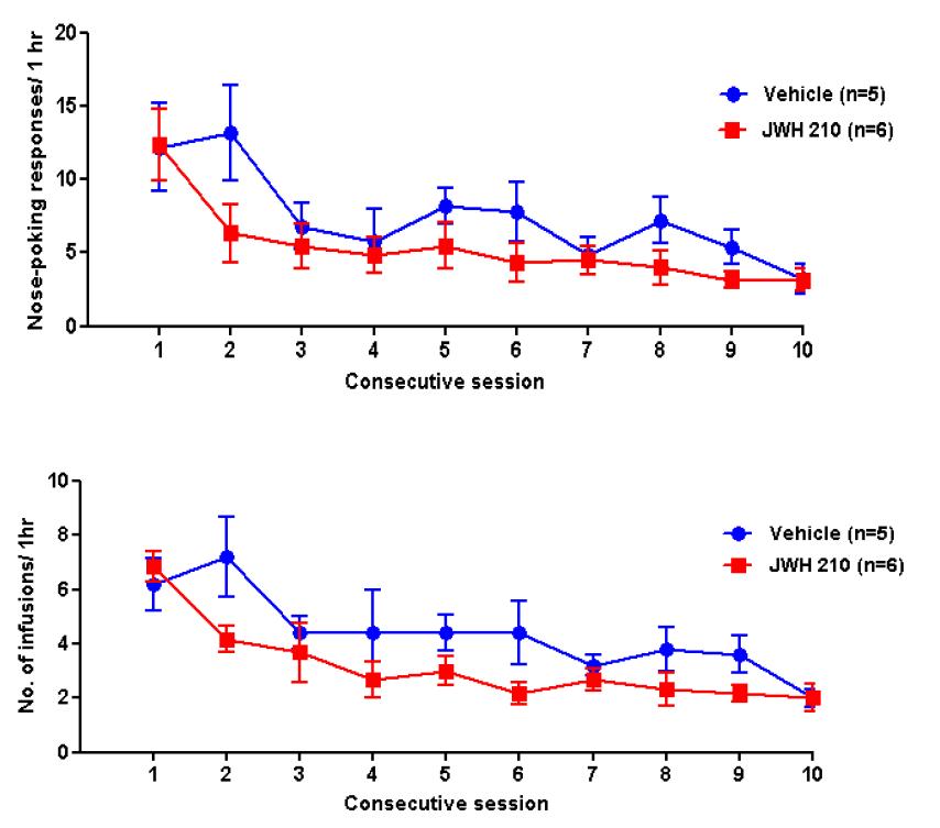 Acquisition of JWH-210(10ug/infusion) self administration in sprague-Dawley(SD) rats with nose-poking(left panels) and drug-infusions(right panels).