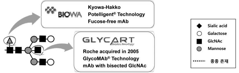 당사슬 공학의 IgG 항체에 대한 적용 인간 IgG 항체는 heavy chain의 Asn297에 당사슬이 부착되며, 혈액 내에 존재하는 IgG 항체 들 중 약 20%는 Fab의 가변 영역에도 당사슬이 Glycart는 bisecting GlcNAc을 부가하여 ADCC 성능을 향상시키는 GlycoMAb 기술을 개발하였고, 일본 Kyowa-Hakko의 자회사 Biowa는 퓨코스가 부가되지 않은 항체를 이용한 ADCC 성능향상 기술을 개발하였다.