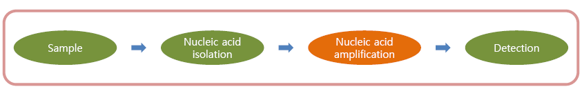 그림 1. 식품에서 노로바이러스 유전자 검출과정