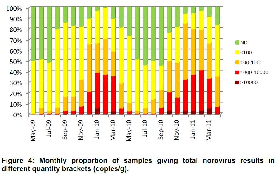 그림 12. 월별 노로바이러스 유전자 정량 분포(copies/g)
