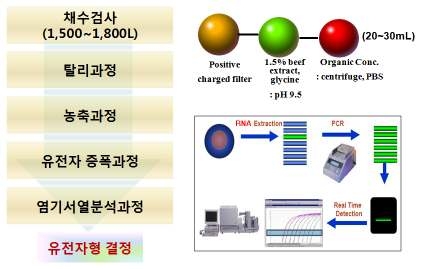 그림 18. 식품용수(지하수) 노로바이러스 시험 절차