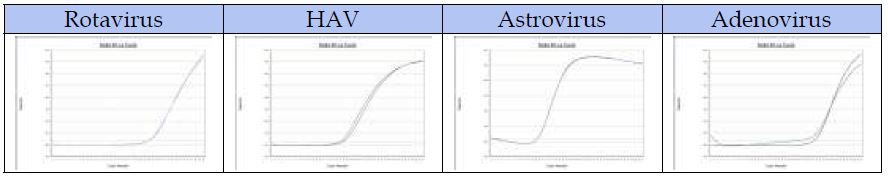 그림 23. 노로바이러스 Realtime RT-PCR 키트 특이성 검증에 사용한 식중독바이러스 4종 Realtime RT-PCR 양성 확인 결과