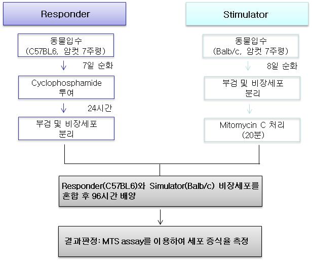 혼합림프구배양시험 모식도