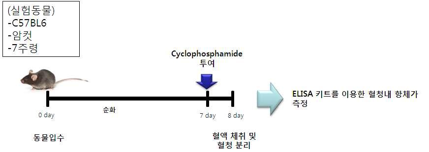 ELISA를 이용한 혈중 항체가 측정시험 스케줄