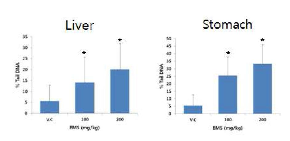 간과 위장의 Comet assay 결과. * : P<0.05