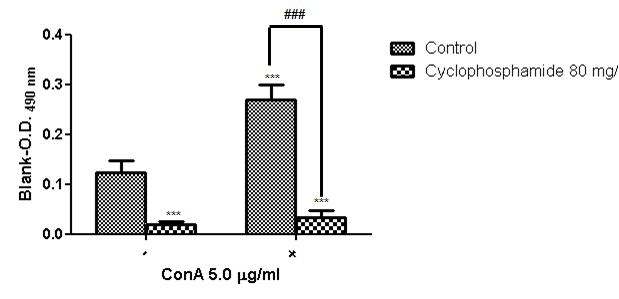 Cyclophosphamide 투여에 의한 T 림프구 세포유약화 반응시험 결과