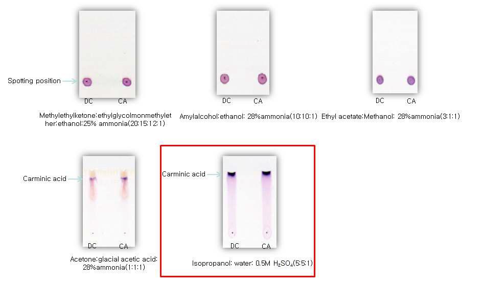 Test of developing solvents with carminic acid decomposed from carmine(DC) and carminic acid standard solution(CA)