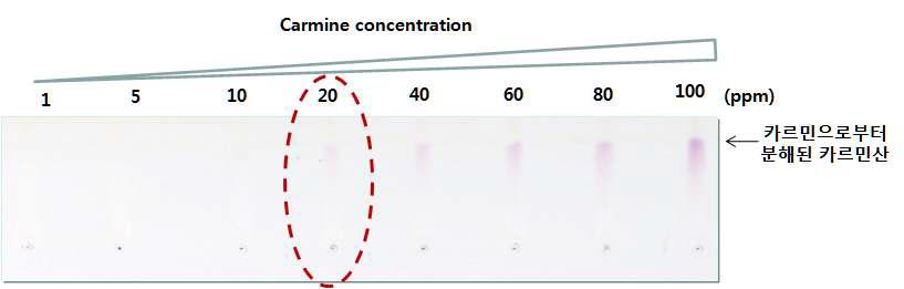 Test of carmine concentration